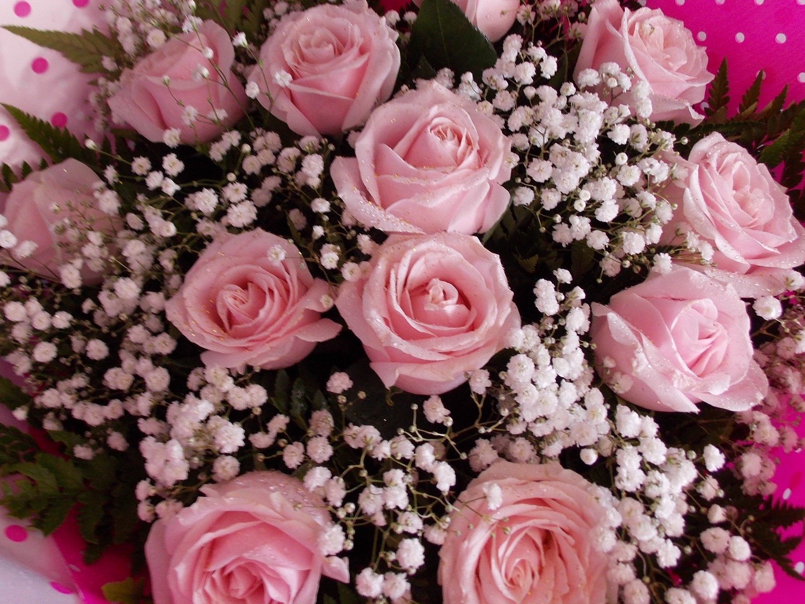 Floricultura Silva | BUQUÊ DE ROSAS COR DE ROSA 12 ROSAS