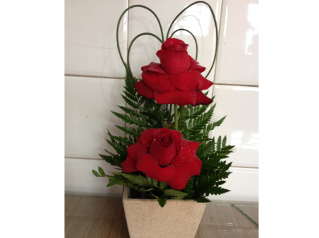 IKEBANA DE ROSAS DOBRADAS NO CACHEPOT 2 ROSAS